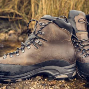 Screenshot 2026-10-01 145340 Skechers Men Hiking Shoes - Black / Navy